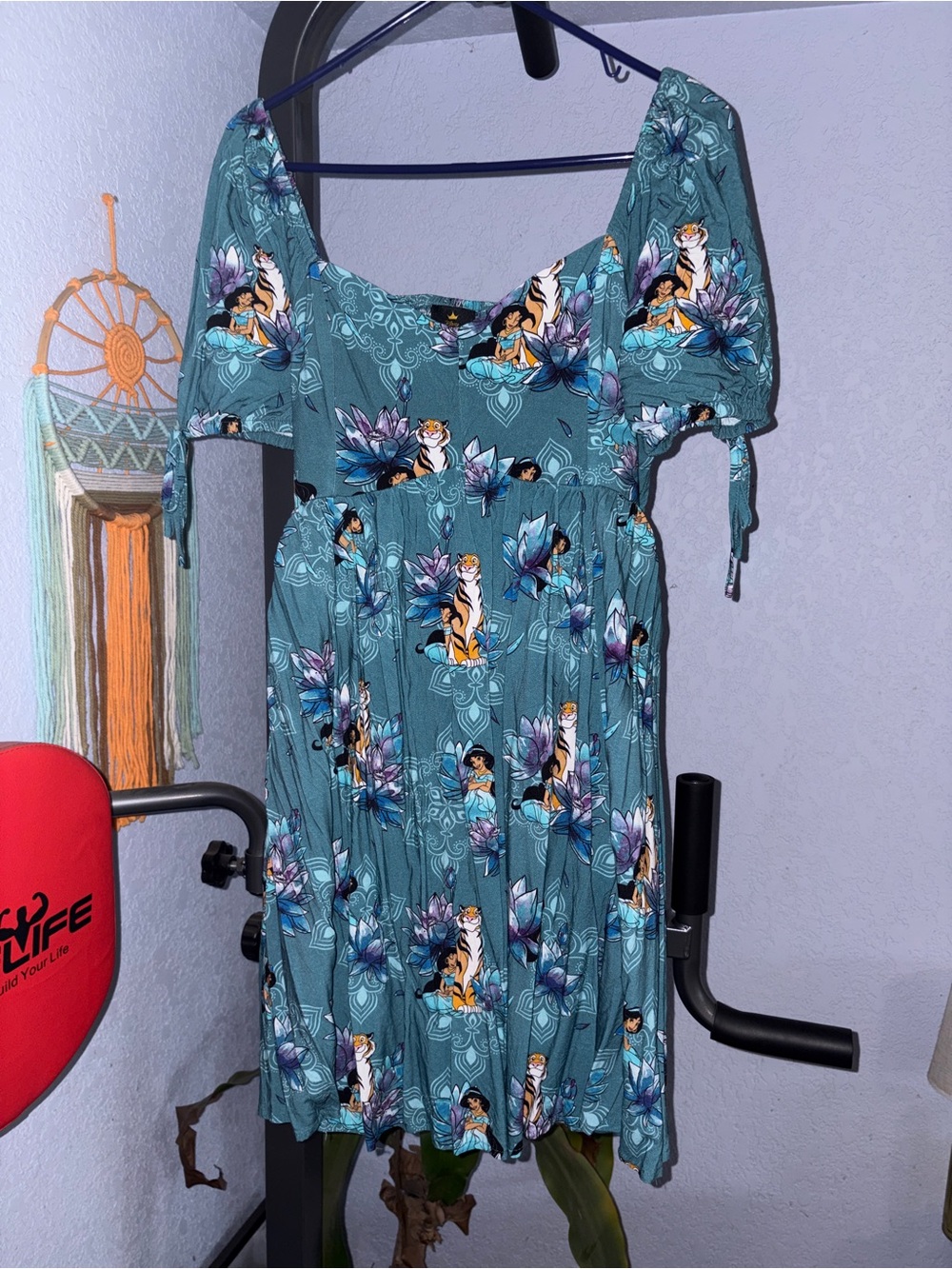 Disney women’s Jasmine and Raja Dress